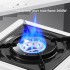 Portable Camping Gas Stove